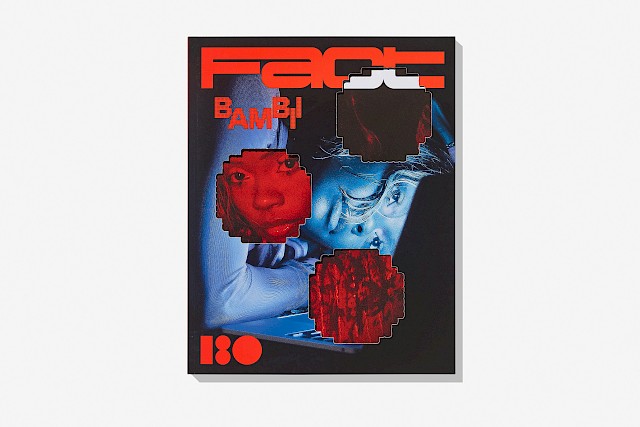 Fact Issue 6