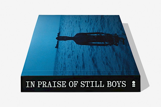 In Praise of Still Boys